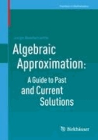 Algebraic Approximation: A Guide to Past and Current Solutions.