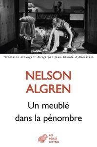 Un meublé dans la pénombre