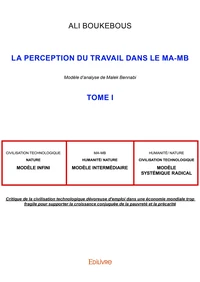 La Perception du travail dans le MA-MB