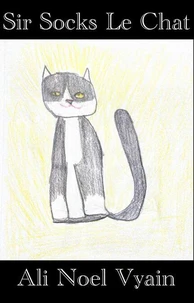 Sir Socks Le Chat