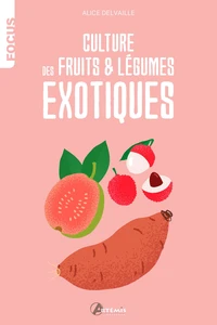 Culture de fruits et légumes exotiques