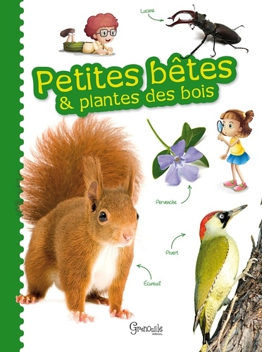 Alice Delvaille - Petites bêtes & plantes des bois.