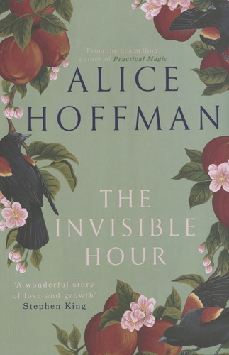 Alice Hoffman - The Invisible Hour.