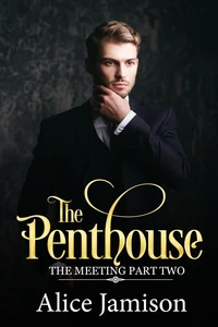 The Penthouse (The Meeting Part Two)