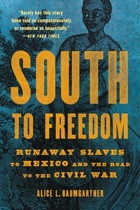 Alice L Baumgartner - South to Freedom - Runaway Slaves to Mexico and the Road to the Civil War.