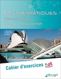 Mathématiques Tle Bac professionnel - Cahier dexercices.pdf