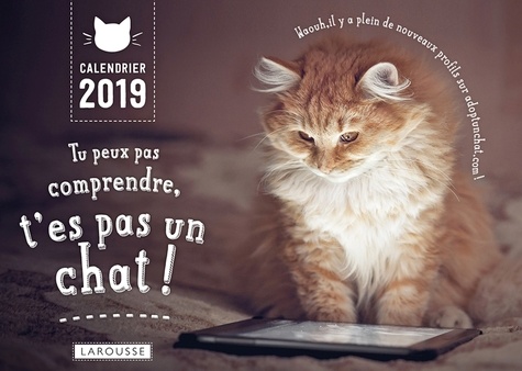 Alice Zabée et Aurélie Lemoine - Calendrier Tu peux pas comprendre t'es pas un chat.