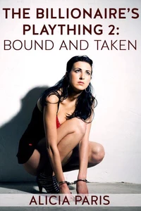 The Billionaire's Plaything 2: Bound and Taken (MF BDSM spanking erotic short)