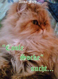 "Coole Socke" sucht...