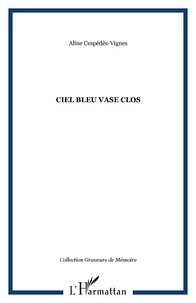 Aline Cespédès-Vignes - Ciel bleu et vase clos.
