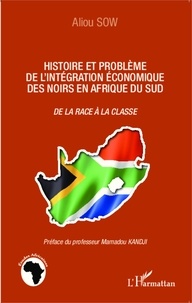 Aliou Sow - Histoire et problème de l'intégration économique des noirs en Afrique du Sud - De la race à la classe.