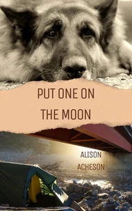 Put One On the Moon