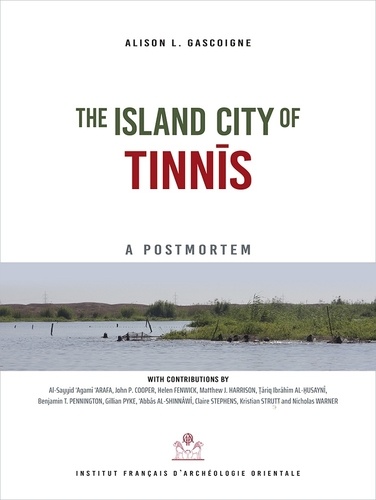 The Island City of Tinnīs. A Postmortem