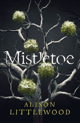 Mistletoe. 'The perfect read for frosty nights' HEAT