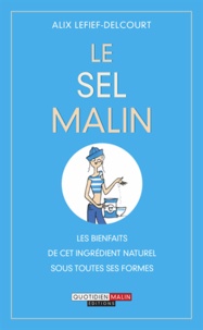 Alix Lefief-Delcourt - Le sel malin.