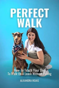 Perfect Walk How To Teach Your Dog To Walk On A Leash Without Pulling