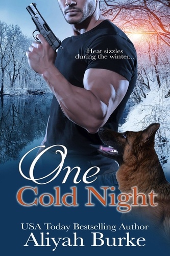  Aliyah Burke - One Cold Night - Prince Brothers, #1.
