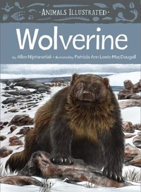 Animals Illustrated: Wolverine