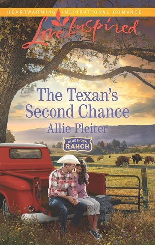 Allie Pleiter - The Texan's Second Chance.
