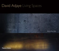 David Adjaye living spaces