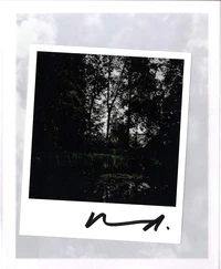 The Giverny Polaroids