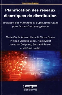 Planification des réseaux électriques de distribution