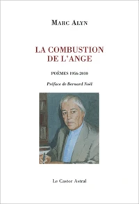 La combustion de l'ange