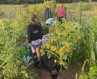 Mindful Gardening with Children