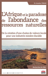 L'Afrique et le paradoxe de l'abondance des ressources naturelles