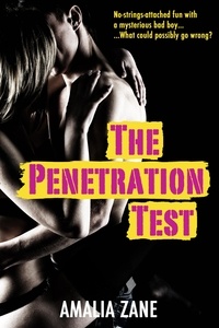  Amalia Zane - The Penetration Test.