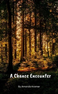A Chance Encounter