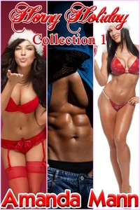 Horny Holiday Collection 1