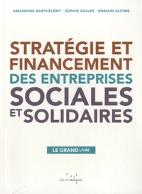 Stratégie et financement des entreprises sociales et solidaires