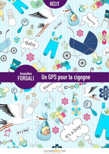 Un GPS pour la cigogne