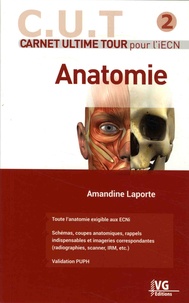 Amandine Laporte - Anatomie.