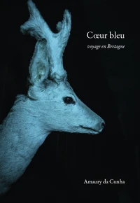 Coeur bleu