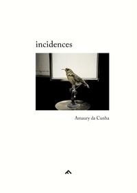 Amaury Da Cunha - Incidences.