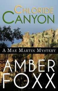  Amber Foxx - Chloride Canyon - Mae Martin Mysteries, #8.