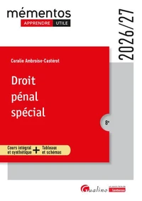 Droit pénal spécial