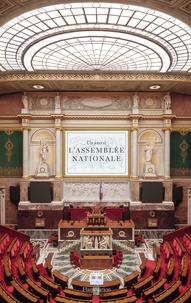 Ambroise Tézenas - Un jour à l'Assemblée nationale.