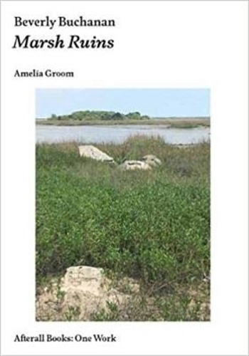 Amelia Groom - Beverly Buchanan - Marsh Ruins.