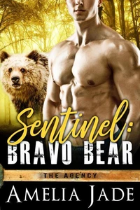 Sentinel: Bravo Bear