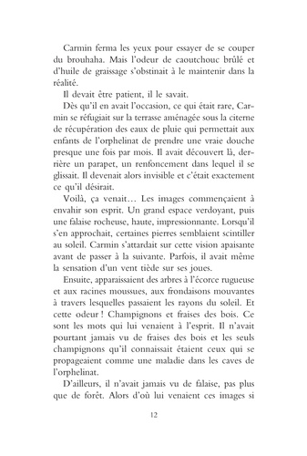 Carmin, le garçon au pied-sabot Tome 1