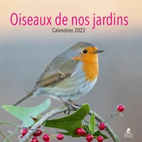 Oiseaux de nos jardins