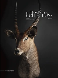 Le temps des collections