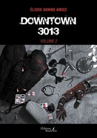 Downtown 3013