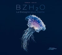 Bzh2o