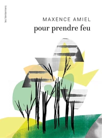 Pour prendre feu