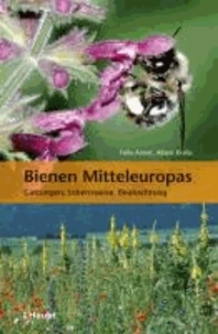 Bienen Mitteleuropas