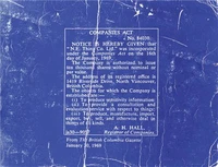 NE Thing Co: Companies Act